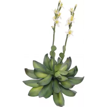 EUROPALMS Stone Rose (EVA) Kunstpflanze, Gelb, 32cm 82530573