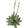 EUROPALMS Stone Rose (EVA) Kunstpflanze, Gelb, 32cm 82530573