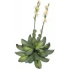 EUROPALMS Stone Rose (EVA) Kunstpflanze, Gelb, 32cm 82530573