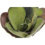 EUROPALMS Künstliche Seerose (EVA), Geschlossen, Grün, 45cm 82530575