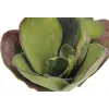 EUROPALMS Künstliche Seerose (EVA), Geschlossen, Grün, 45cm 82530575