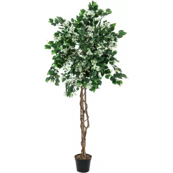 EUROPALMS Bougainvillea Kunstpflanze, Weiß, 180 cm 82507086