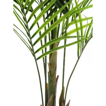 EUROPALMS Großblättrige Areca-Kunstpflanze, 165cm 82509441