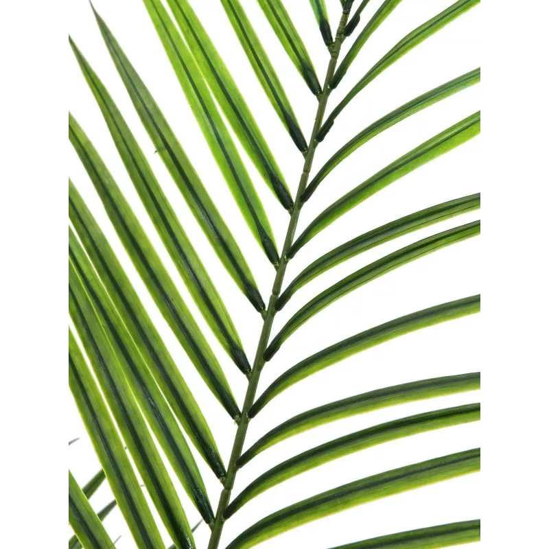 EUROPALMS Großblättrige Areca-Kunstpflanze, 165cm 82509441
