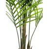 EUROPALMS Großblättrige Areca-Kunstpflanze, 165cm 82509441