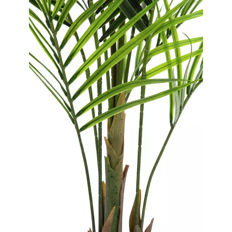 EUROPALMS Großblättrige Areca-Kunstpflanze, 165cm 82509441