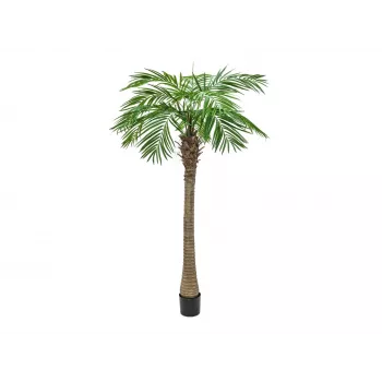 EUROPALMS Phoenix Palm Luxor, Kunstpflanze, 240cm 82510722