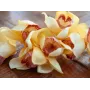 EUROPALMS Künstlicher Cymbidium-Zweig, Gelb, 90cm 82530314
