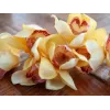 EUROPALMS Künstlicher Cymbidium-Zweig, Gelb, 90cm 82530314