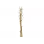 EUROPALMS Getrockneter Fenchelstrauß, Gold, 160cm 83502363