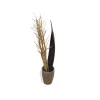 EUROPALMS Getrockneter Fenchelstrauß, Gold, 160cm 83502363