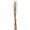 EUROPALMS Getrockneter Fenchelstrauß, Gold, 160cm 83502363