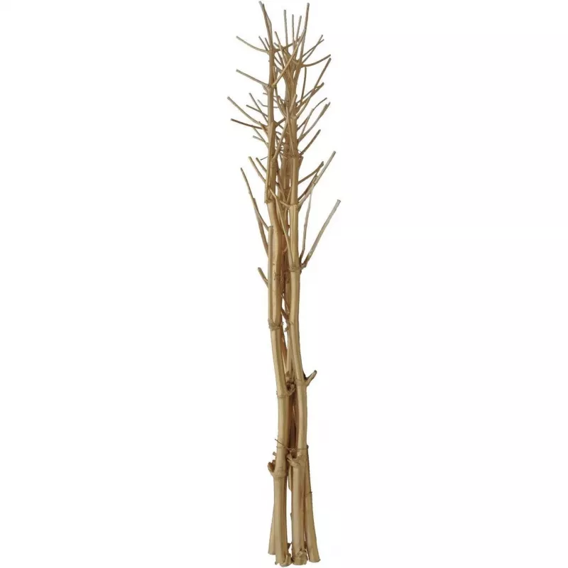 EUROPALMS Getrockneter Fenchelstrauß, Gold, 160cm 83502363