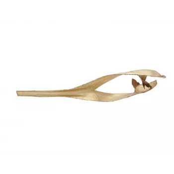 EUROPALMS Getrockneter Palmblattkopf, Gold, 60 cm 83502362