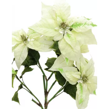 EUROPALMS Künstlicher Weihnachtsstern-Busch, Creme, 60cm 83500433