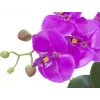 EUROPALMS Künstliche Orchideenarrangement 4, Weiße Phalaenopsis im Keramiktopf, 60 cm 82530349