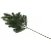 EUROPALMS Tannenzweig, PE, 65cm 83500420