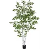 EUROPALMS Künstliche Birke, 210 cm 82505232