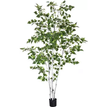 EUROPALMS Künstliche Birke, 210 cm 82505232