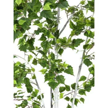 EUROPALMS Künstliche Birke, 210 cm 82505232