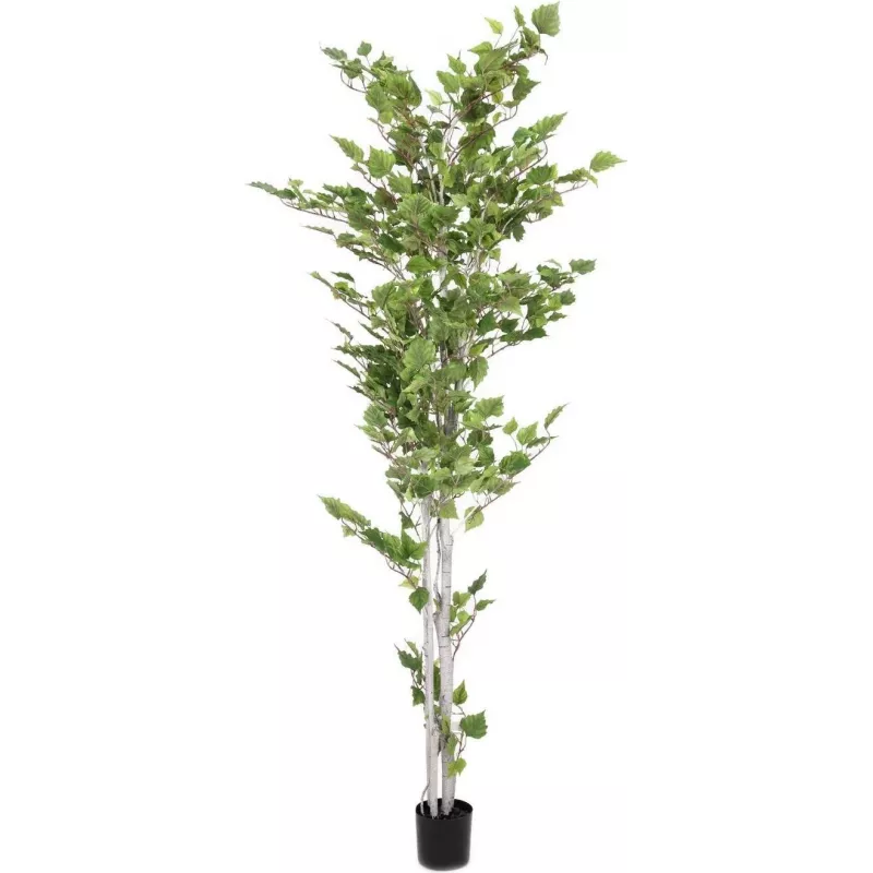 EUROPALMS Künstliche Birke, 210 cm 82505232