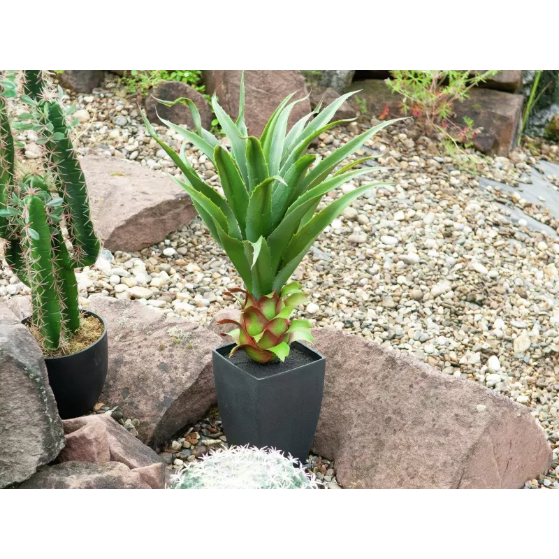 EUROPALMS Agave im Topf, Kunstpflanze, 75cm 82600160