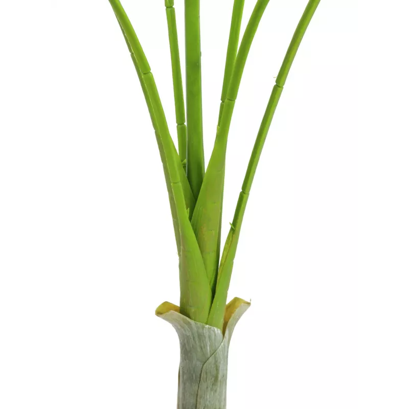EUROPALMS Areca deluxe Kunstpflanze, 180cm 82509443