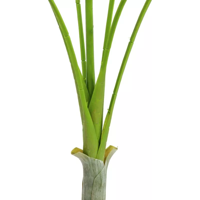 EUROPALMS Areca deluxe Kunstpflanze, 180cm 82509443