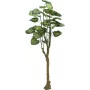 EUROPALMS Pothos Baum Künstliche Pflanze 175cm 82600163