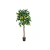 EUROPALMS Künstlicher Zitronenbaum, 180cm 82507816