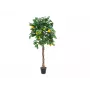 EUROPALMS Künstlicher Zitronenbaum, 180cm 82507816