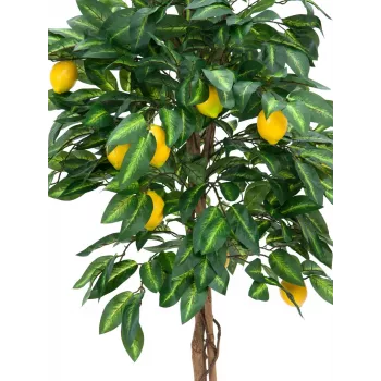 EUROPALMS Künstlicher Zitronenbaum, 180cm 82507816