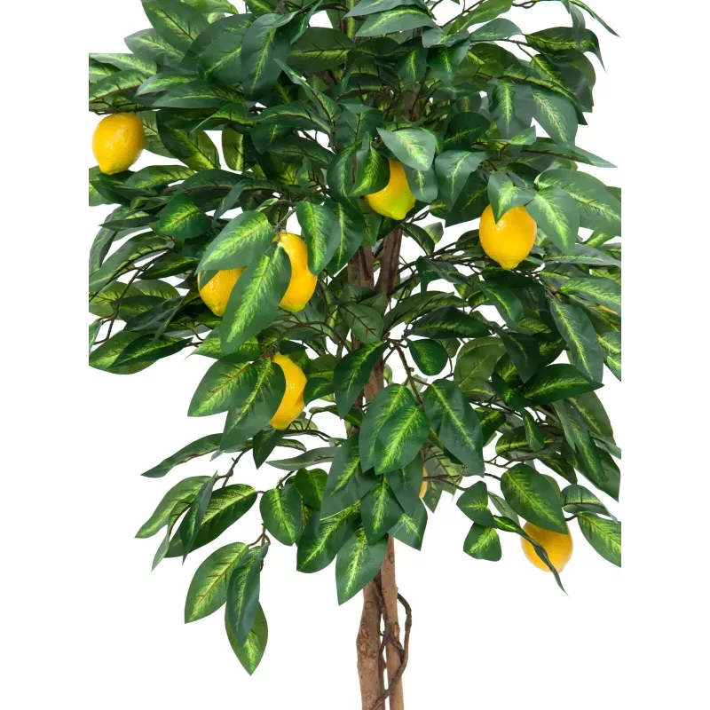 EUROPALMS Künstlicher Zitronenbaum, 180cm 82507816