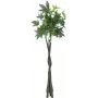 EUROPALMS Künstlicher Pachira Geldbaum, 160cm 82600165