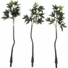 EUROPALMS Künstlicher Pachira Geldbaum, 160cm 82600165