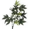 EUROPALMS Künstlicher Pachira Geldbaum, 160cm 82600165