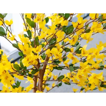 EUROPALMS Künstlicher Forsythienbaum mit 3 Stämmen, Gelb, 150cm 82507102