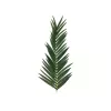 EUROPALMS Künstlicher Kokospalmenwedel, 150 cm 82509845