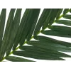 EUROPALMS Künstlicher Kokospalmenwedel, 150 cm 82509845