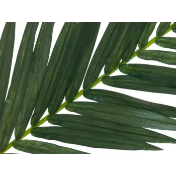 EUROPALMS Künstlicher Kokospalmenwedel, 150 cm 82509845
