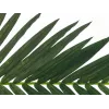 EUROPALMS Künstlicher Kokospalmenwedel, 150 cm 82509845