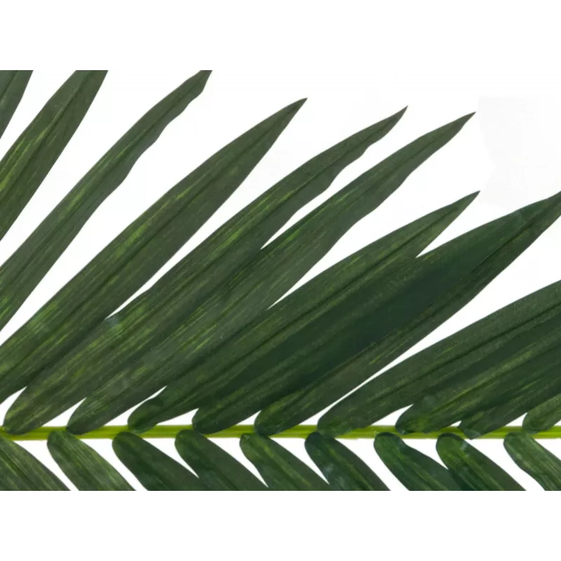 EUROPALMS Künstlicher Kokospalmenwedel, 150 cm 82509845