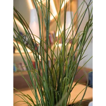 EUROPALMS Künstliches Schilfgras, 145cm, Grün/Braun, Vorgetopft 82600229