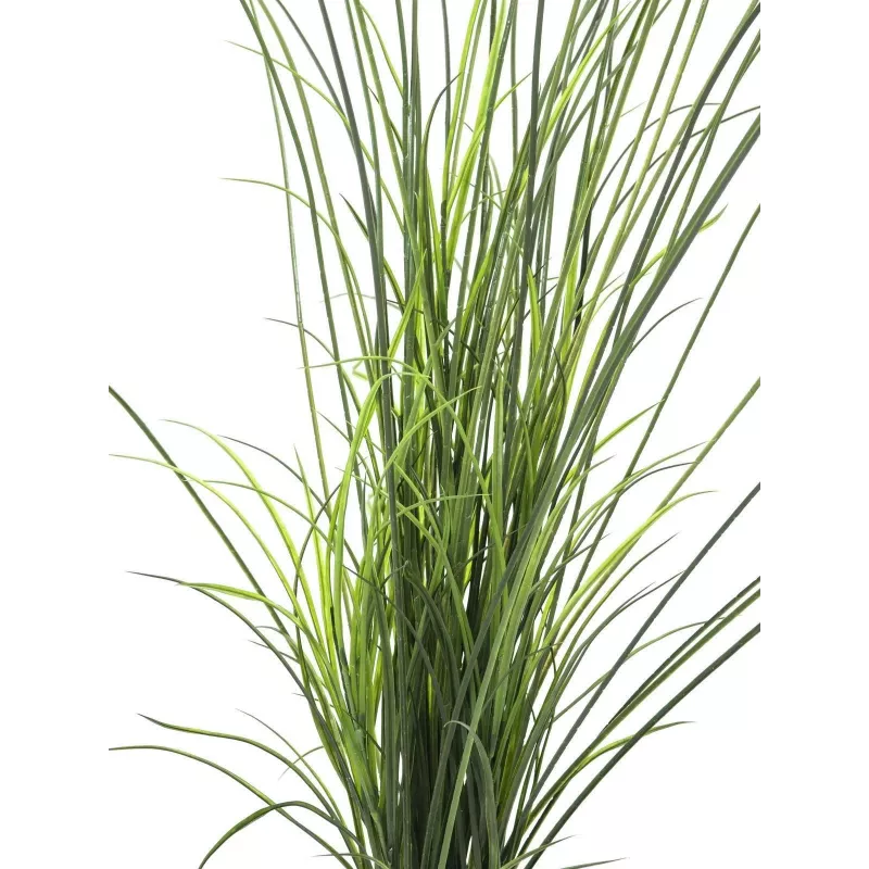 EUROPALMS Künstliches Schilfgras, 145cm, Grün/Braun, Vorgetopft 82600229