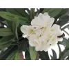 EUROPALMS Oleanderbaum, Kunstpflanze, Weiß, 120 cm (82507246)