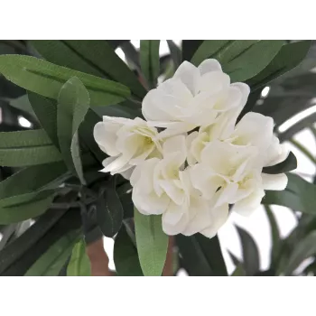 EUROPALMS Oleanderbaum, Kunstpflanze, Weiß, 120 cm (82507246)