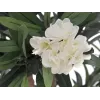 EUROPALMS Oleanderbaum, Kunstpflanze, Weiß, 120 cm (82507246)