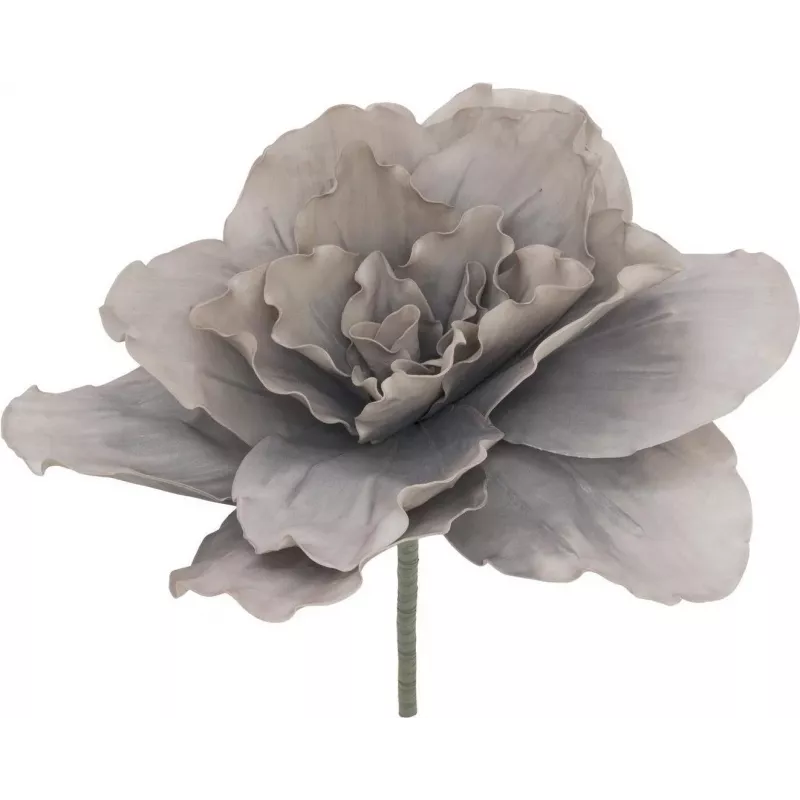 EUROPALMS Giant Blossom (EVA), künstlich, beige-grau, 80cm 82531066