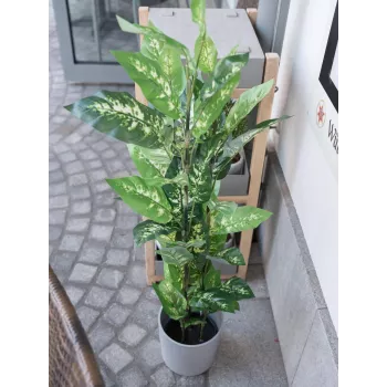 EUROPALMS Dieffenbachia Kunstpflanze 120cm 82508306
