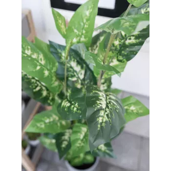 EUROPALMS Dieffenbachia Kunstpflanze 120cm 82508306